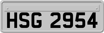 HSG2954