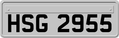 HSG2955