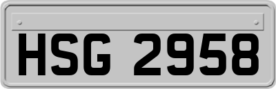 HSG2958