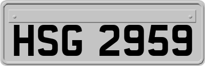 HSG2959
