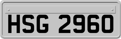 HSG2960