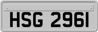 HSG2961