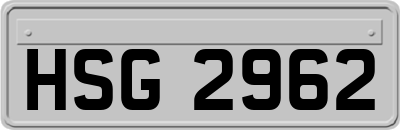HSG2962