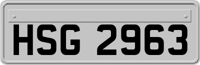 HSG2963