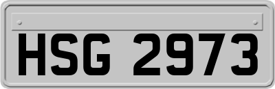 HSG2973