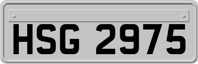 HSG2975