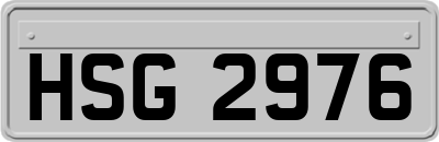 HSG2976