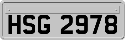 HSG2978
