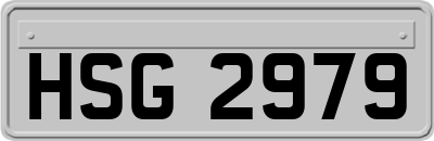 HSG2979