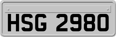 HSG2980
