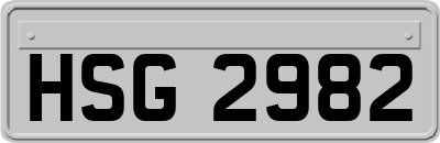 HSG2982