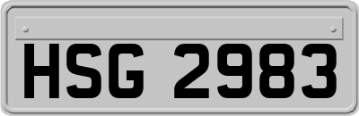 HSG2983