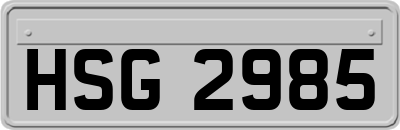 HSG2985