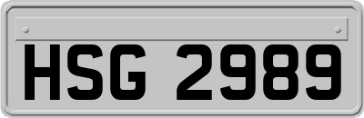 HSG2989