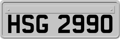 HSG2990