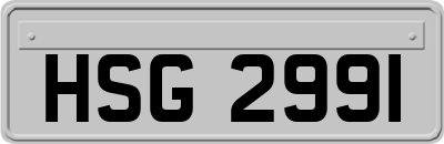 HSG2991