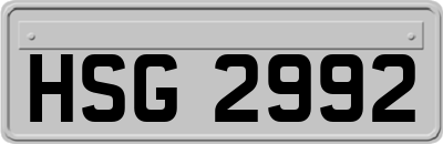 HSG2992
