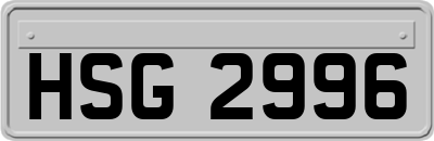 HSG2996