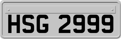 HSG2999
