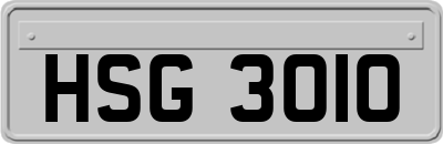 HSG3010