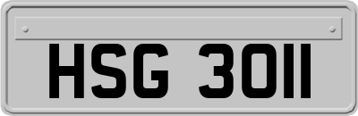 HSG3011