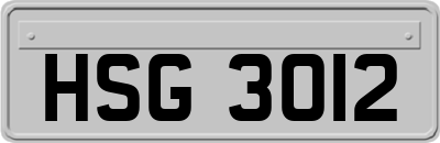 HSG3012