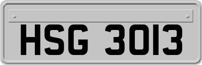 HSG3013