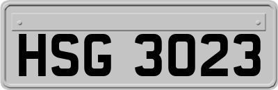 HSG3023