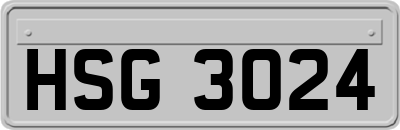 HSG3024
