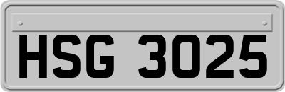 HSG3025