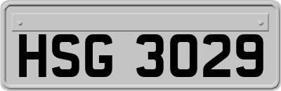 HSG3029
