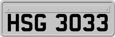 HSG3033