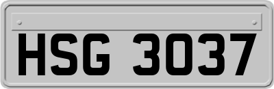 HSG3037