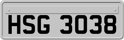 HSG3038