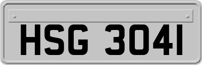 HSG3041