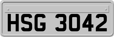 HSG3042