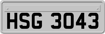 HSG3043