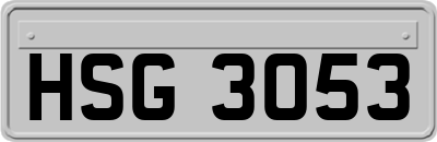 HSG3053
