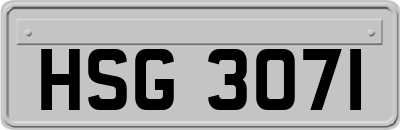HSG3071