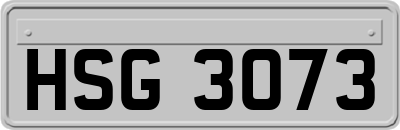 HSG3073
