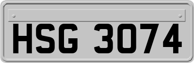 HSG3074