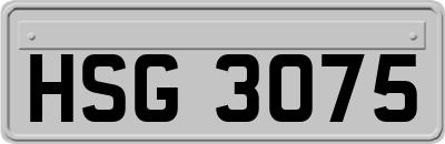 HSG3075