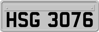 HSG3076