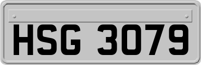 HSG3079