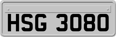 HSG3080