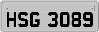 HSG3089
