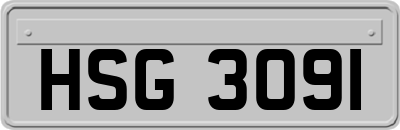 HSG3091