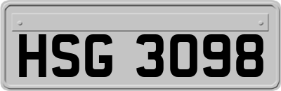 HSG3098