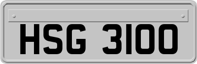 HSG3100