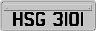 HSG3101